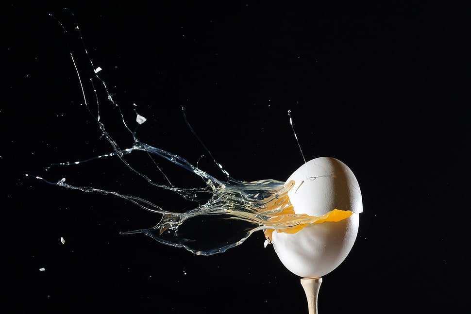 white egg, eggs, broken HD wallpaper