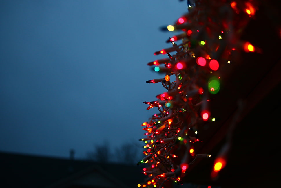 assorted-color string lights, christmas lights HD wallpaper