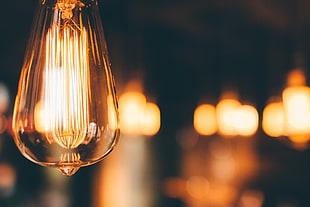 shallow focus photography shot of yellow bulb HD wallpaper