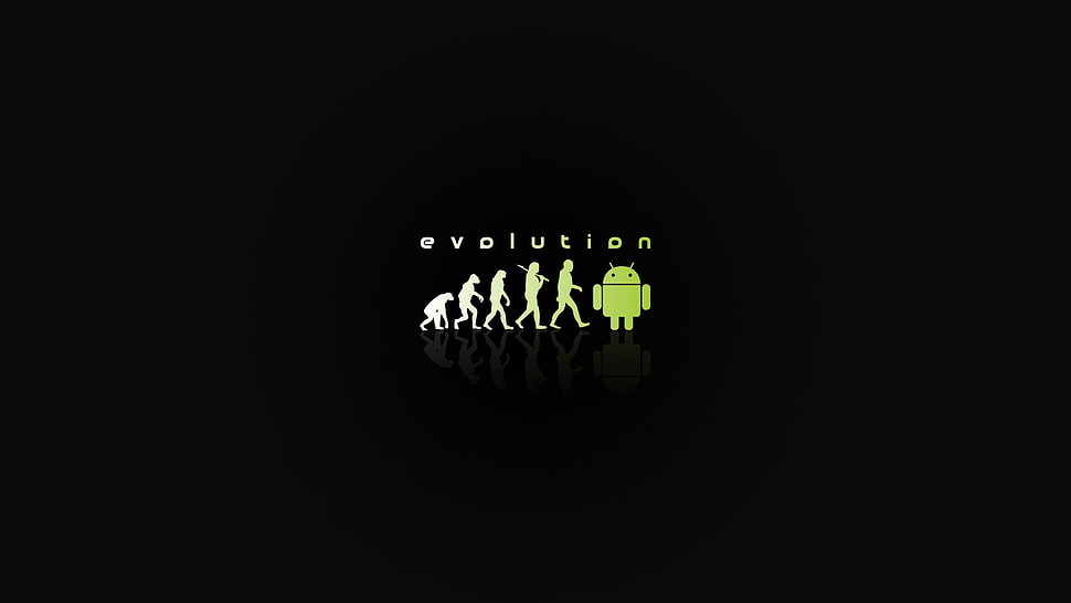 Evolution digital wallpaper, humor HD wallpaper