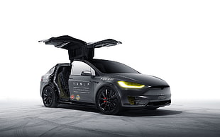 gray coupe, electric car, car, concept cars, Tesla Model X HD wallpaper
