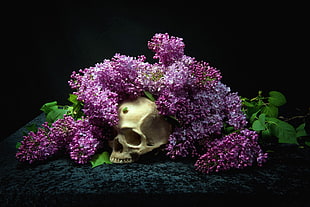 white human skull, skull, bones, flowers