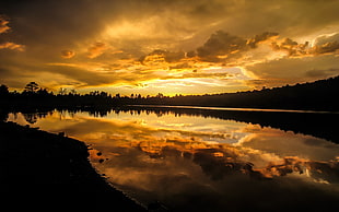 silhouette body of water in between trees during golden hour HD wallpaper
