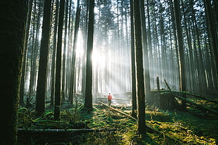 men's orange top and black bottoms, forest, deep forest, shadow