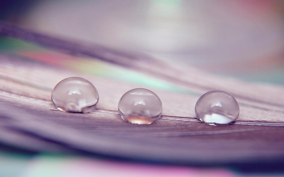 macro shot of water drops HD wallpaper