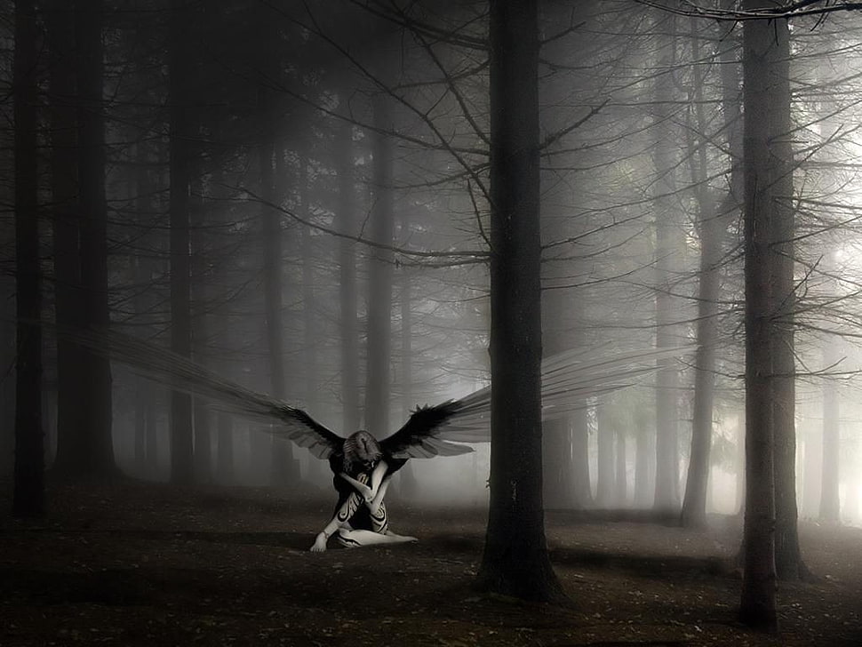 angel beside trees illustration, angel, dark, wings, fantasy art HD wallpaper
