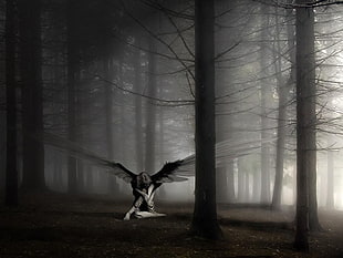 angel beside trees illustration, angel, dark, wings, fantasy art