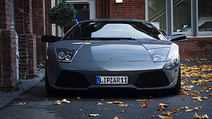 black and gray Honda car, Lamborghini Murcielago