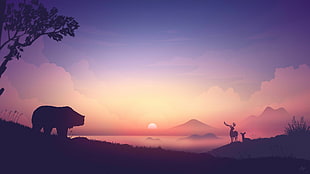 white and black bed mattress, bears, sunset, mountains, clouds