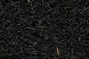 black leaves, photography, nature, tea plant HD wallpaper