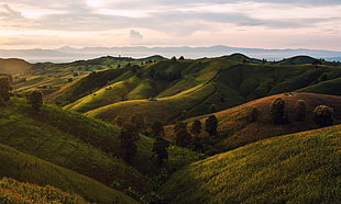 green hills, nature, landscape, clouds, mountains HD wallpaper