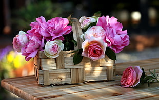 shallow focus photography of pink roses in brown wicker basket