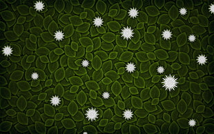 green and white microscopic illustration HD wallpaper