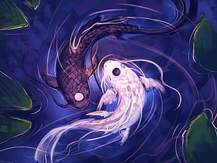 yin yang koi fish digital wallpaper, artwork, fish, water, lake