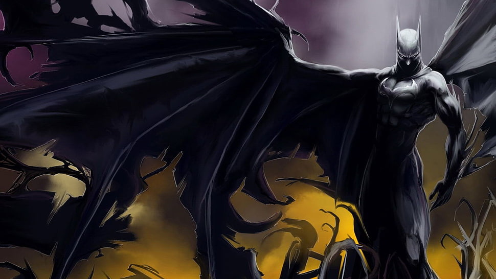 Batman digital wallpaper, Batman HD wallpaper