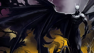 Batman digital wallpaper, Batman