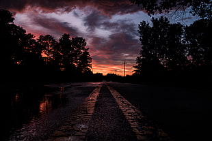 photography of street between tall trees during golden hour HD wallpaper