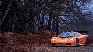 orange supercar, McLaren, McLaren F1, orange color, trees HD wallpaper