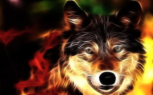 dog portrait art digital wallpaper HD wallpaper