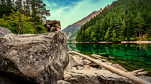 photo of gray rock beside clear water river during daytime, lindeman lake HD wallpaper