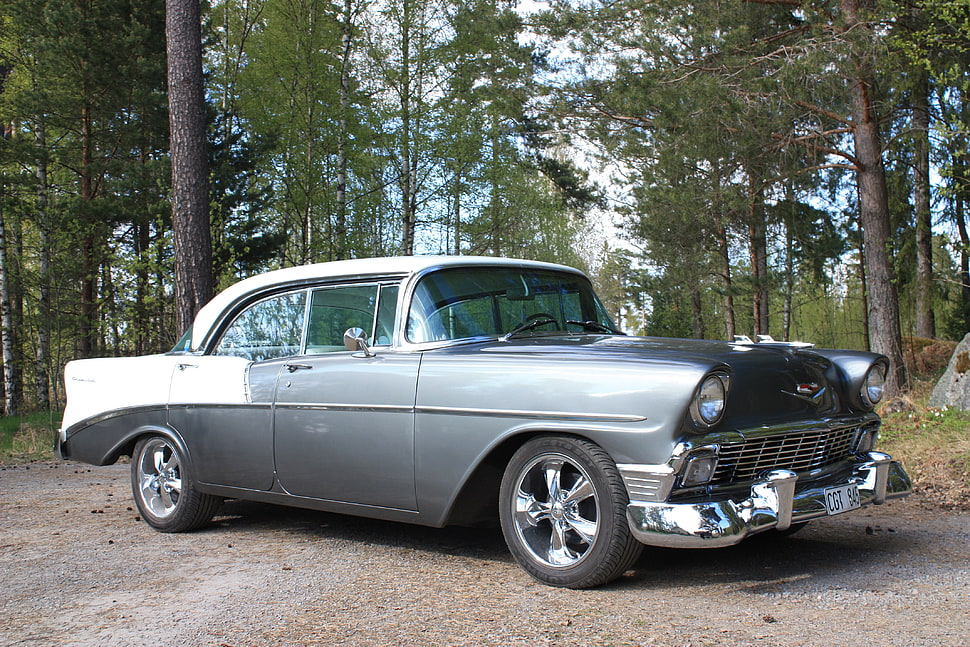 gray and white Chevrolet Bel Air parked on soil pavement surrounded by trees HD wallpaper