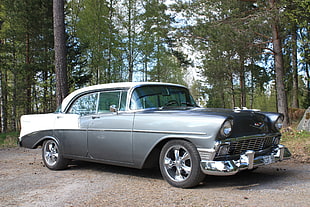 gray and white Chevrolet Bel Air parked on soil pavement surrounded by trees