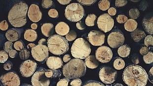 brown firewood log lot, wood, brown