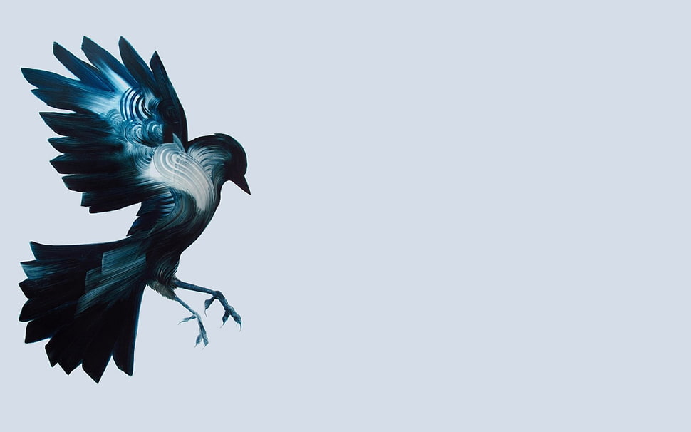 vector illustration of blue and white bird HD wallpaper