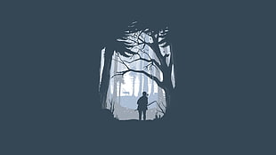person standing between trees silhouette