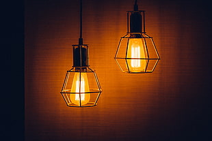 photo of two caged bulbs