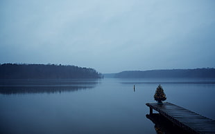 brown wooden dock, Christmas, lake, water