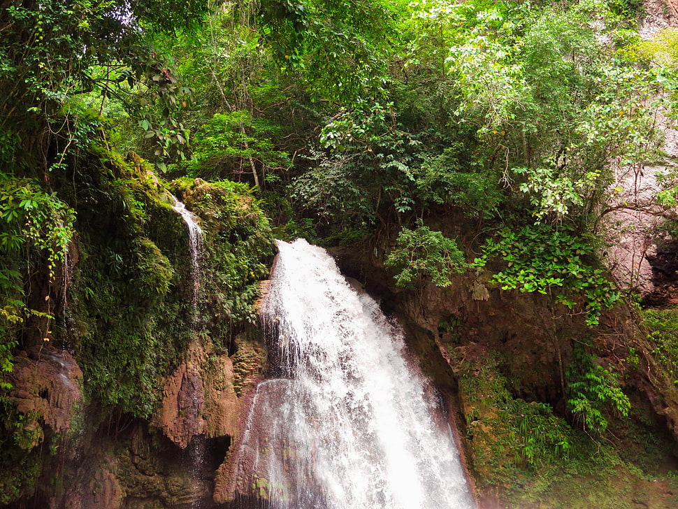 waterfalls and green leafed trees, nature, landscape, Philippines, waterfall HD wallpaper