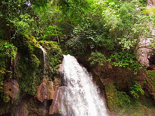 waterfalls and green leafed trees, nature, landscape, Philippines, waterfall