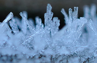 macro photography of frozen water