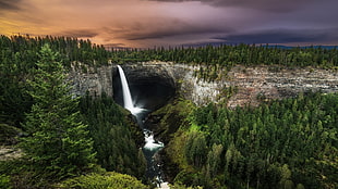 waterfalls, nature, landscape, waterfall, forest