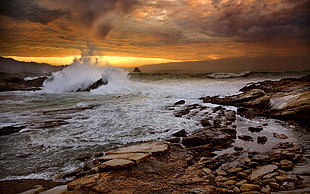 brown rocks, nature, landscape, sea, coast HD wallpaper