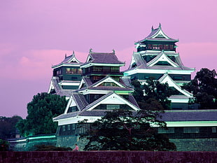gray and white castle, Japan HD wallpaper