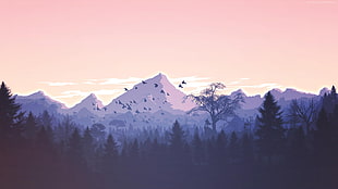 mountain ranges during golden hour artwork
