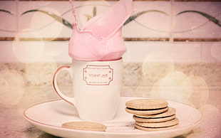 white ceramic mug on white ceramic plate beside biscuits
