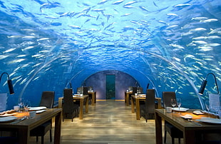 empty underwater restaurant during daytime