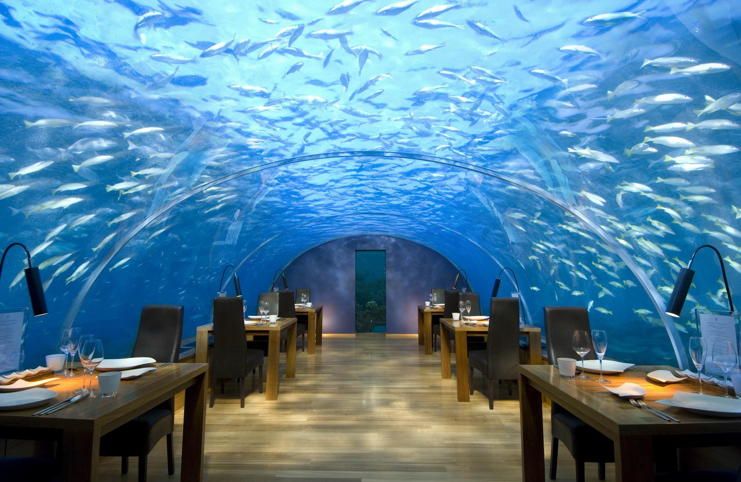 empty underwater restaurant during daytime