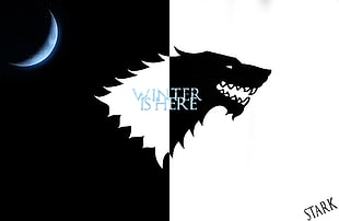 House Stark sigil wallpaper, Game of Thrones, wolf, winter HD wallpaper