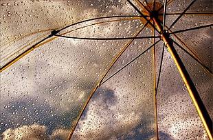 brass-colored frame transparent umbrella with droplets of water