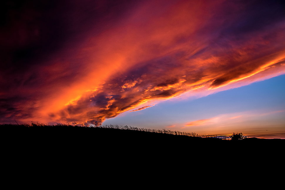 orange clouds, sunset, landscape, nature, clouds HD wallpaper
