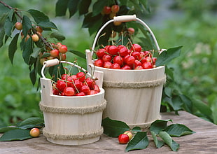 red cherries on brown wooden baskets