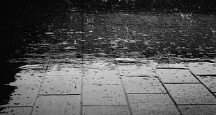grayscale photo of raining season