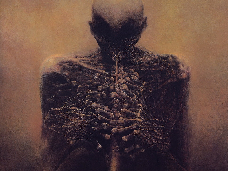 human skeleton painting HD wallpaper