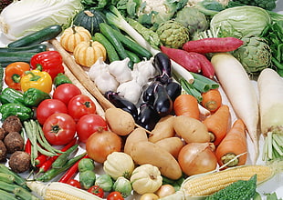 photograph of assorted vegetables
