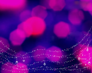 photo of pink and blue bokeh lights HD wallpaper