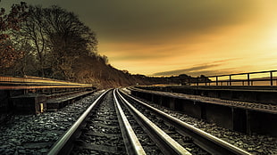gray metal train rail, railway, sunlight HD wallpaper